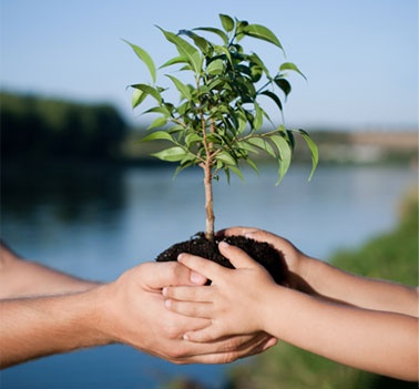 Consciência Ecológica