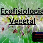 Ecofisiologia Vegetal