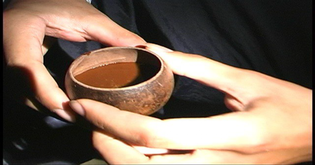 Para Que Serve O Chá De Ayahuasca?