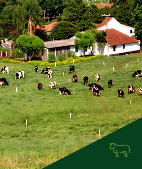 Qual a Diferença Entre Chácara e Sítio?