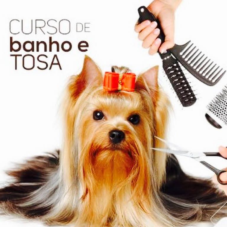 Curso de Banho e Tosa