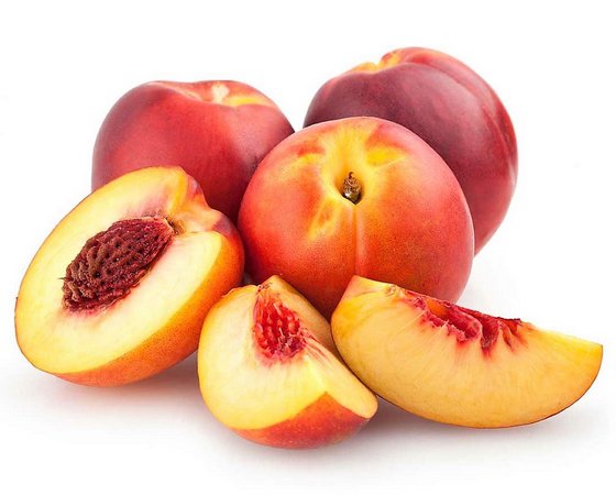 Nectarina Rubro Sol: Caracteristicas, Nome Cientifico, Muda e Fotos