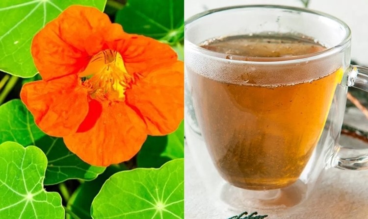 Capuchinha Para Pele Faz Bem? Quais os Seus Benefícios?