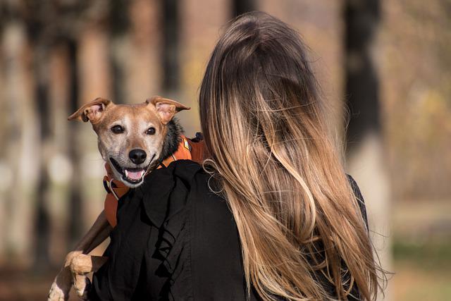 Como os Animais Expressam Sentimentos?
