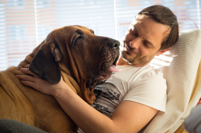 Problemas de Saúde em Cães Grandes