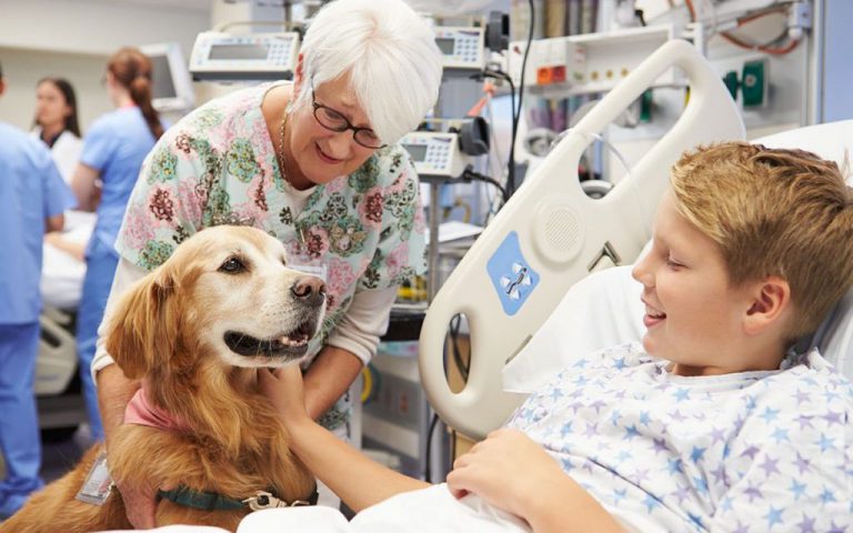 Animais em Terapias Assistidas