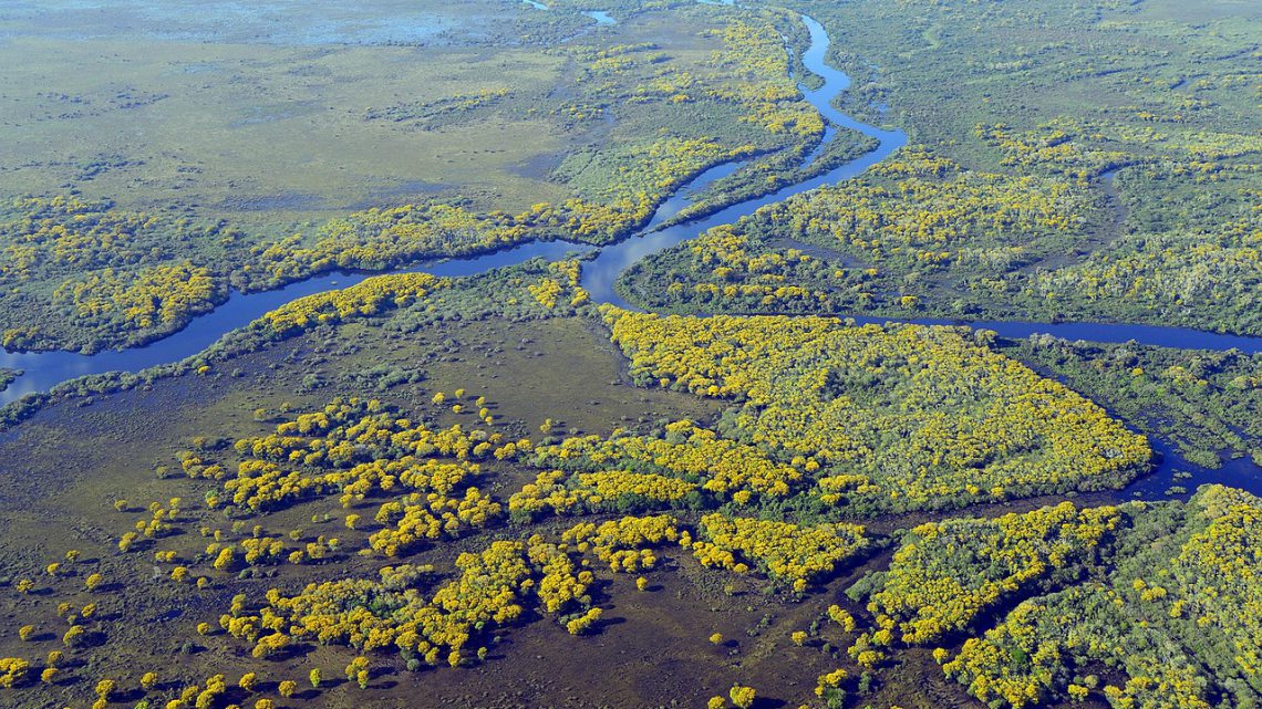 Pantanal: o Maior Bioma de Áreas Úmidas do Mundo e as Ameaças à sua Biodiversidade